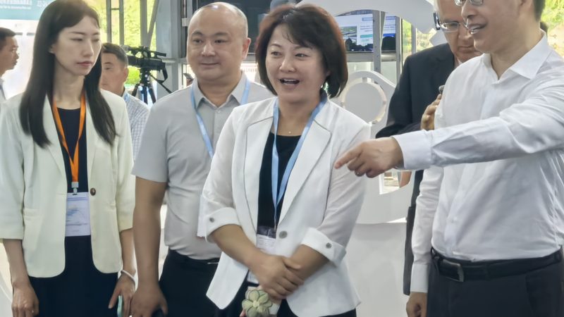 汽车配件加盟适合新手吗